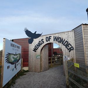 Birds of prey area; 'Wings of Wonder'