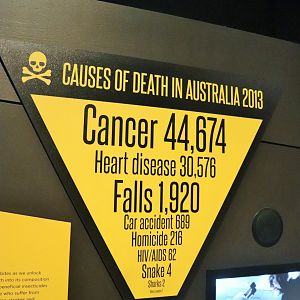 Spider Exhibition- Causes of Death in Australia 2013