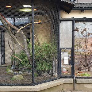 Sun conure - left - and Weaver aviary - right