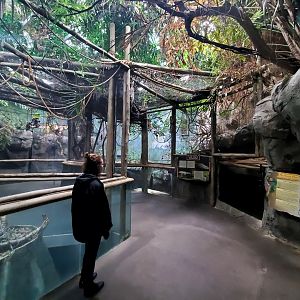 Dec. 2019 - HerpAquarium - The King Louie Exhibit
