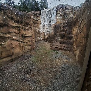 Dec. 2019 - Glacier Run - Polar/Brown Bear Outdoor Exhibit Accessible Moat