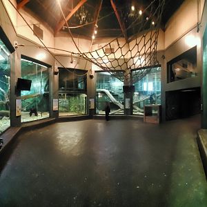 Dec. 2019 - Gorilla Forest - Indoor Gorilla Rotunda (3 Exhibits)