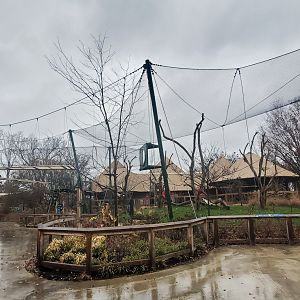 Dec. 2019 - New! Colobus Crossing