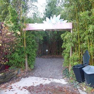 Entrance to Lemur walkthrough 011219