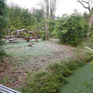 Lemur walkthrough 011219