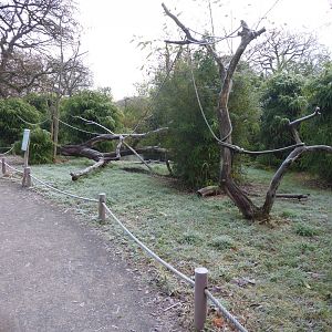 Lemur walkthrough 011219