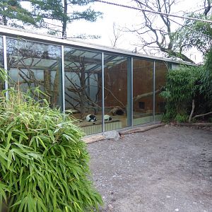 Lemur walkthrough - indoors for Black-and-white ruffed lemurs 011219