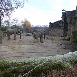 Elefantenhaus section of outdoors 011219