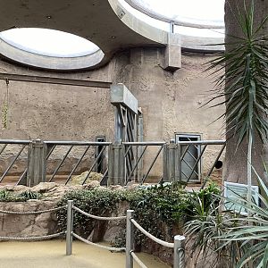 Elefantenhaus section of indoors 011219