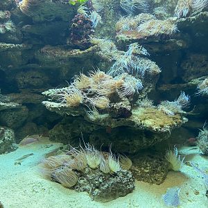 Aquarium exhibit 011219