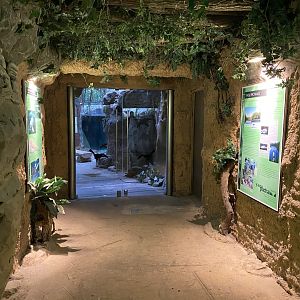 Rio Negro entrance 011219