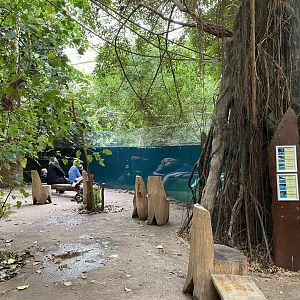 Rio Negro - view towards Orinoco dolphin exhibit 011219