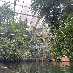 Rio Negro - view above Orinoco dolphin exhibit 011219