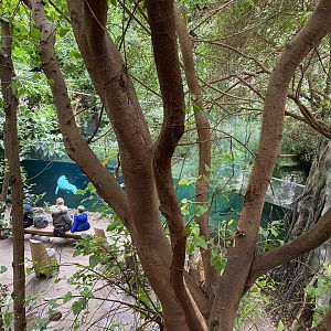 Rio Negro - view down towards Orinoco dolphin exhibit 011219