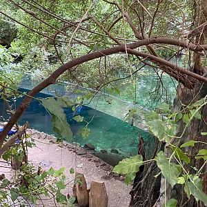 Rio Negro - view down towards Orinoco dolphin exhibit 011219