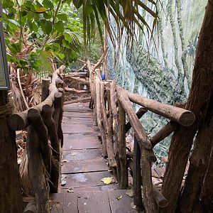 Rio Negro bridge 011219