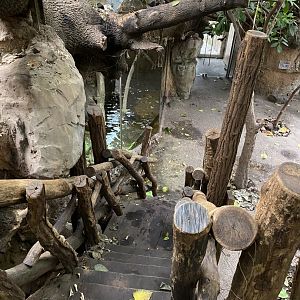 Rio Negro view from upper platform 011219