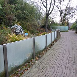 Chelonian exhibits outside Rio Negro 011219