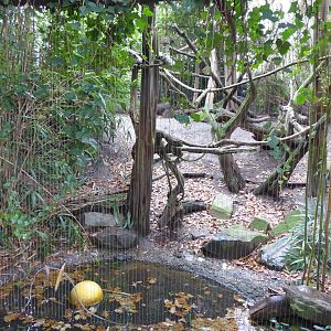 Fossa enclosure 011219