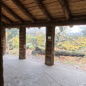 European wildcat viewing windows 011219