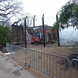 Raubtierhaus construction work 011219