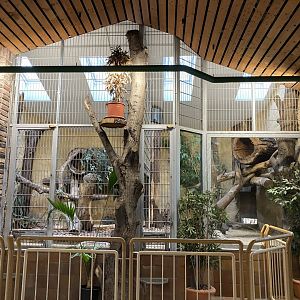 Raubtierhaus - Fishing cat indoors 011219