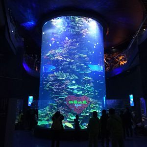 Multi-storey Reef Tank