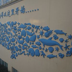 Whale Artwork