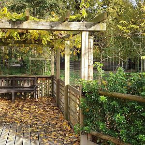 Viewing-platform Squirrel monkey island