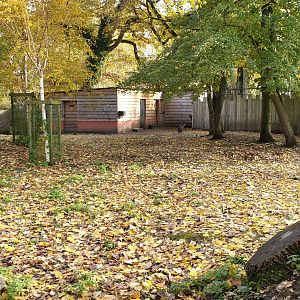 Wallaby - Emu enclosure