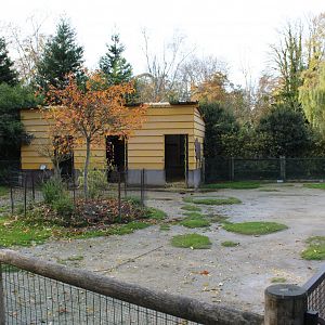 Zebu - Rabbit enclosure