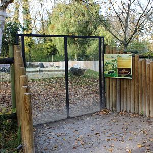 Viewing-window Tapir - Capybara enclosure