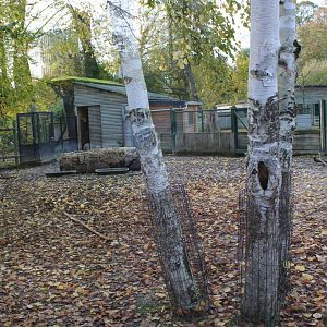 Tapir - Capybara enclosure