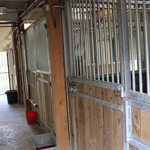 Stables Addax - Ostrich - Dorcas gazelle