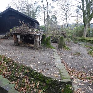 South American paddock 011219