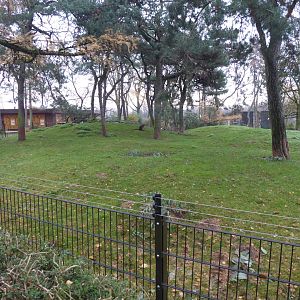 Swamp wallaby and Eastern wallaroo enclosure 011219