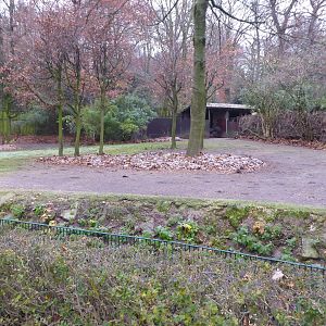Emu enclosure 011219