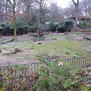 Common wombat and Red-necked wallaby enclosure 011219