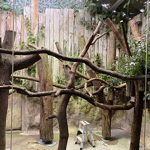 Koala House 011219