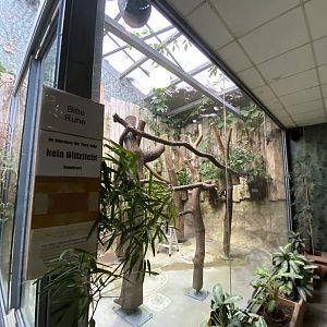 Koala House 011219