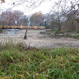 Afrikanum - Southen white rhinoceros enclosure 011219