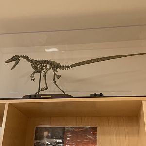 "More like a six-foot turkey."