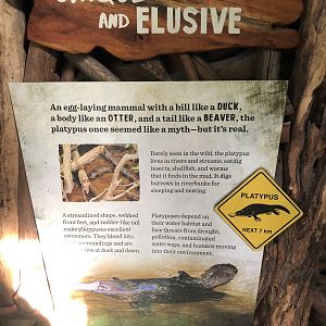 Platypus signage