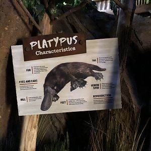 Platypus anatomy signage
