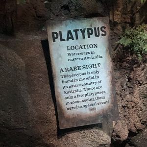 Platypus signage