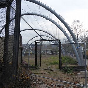 New aviary construction 011219