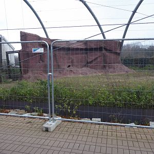 New aviary construction 011219