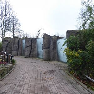 View towards Spectacled bear enclosure 011219