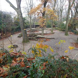 South American paddock 011219