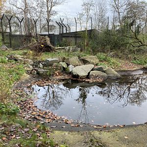 Section of Siberian tiger enclosure 011219